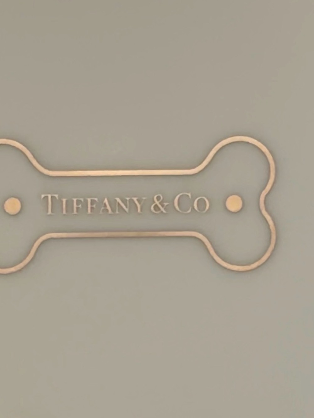 Brand new Tiffany & Co Dog Bowl in Large size - Picture 4 of 8